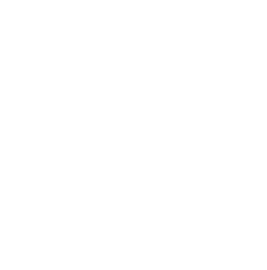 French 50th Anniversary badge
