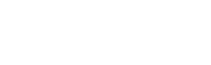 PACE logo