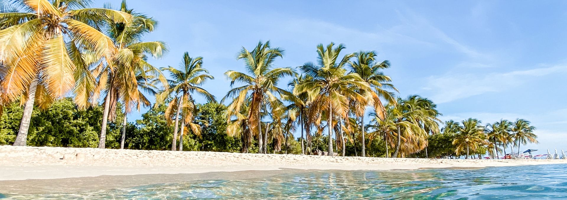 Une plage tropicale avec l'océan