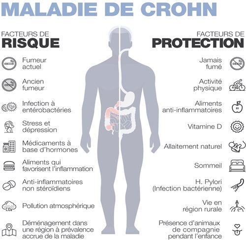 Figure-3-6-FRENCH.JPG