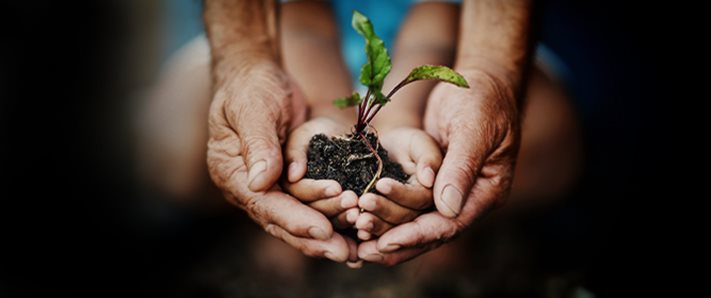 Mains tenant la croissance des plantes